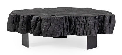 Tavolino da salotto in tronco massiccio nero gambe in acciaio