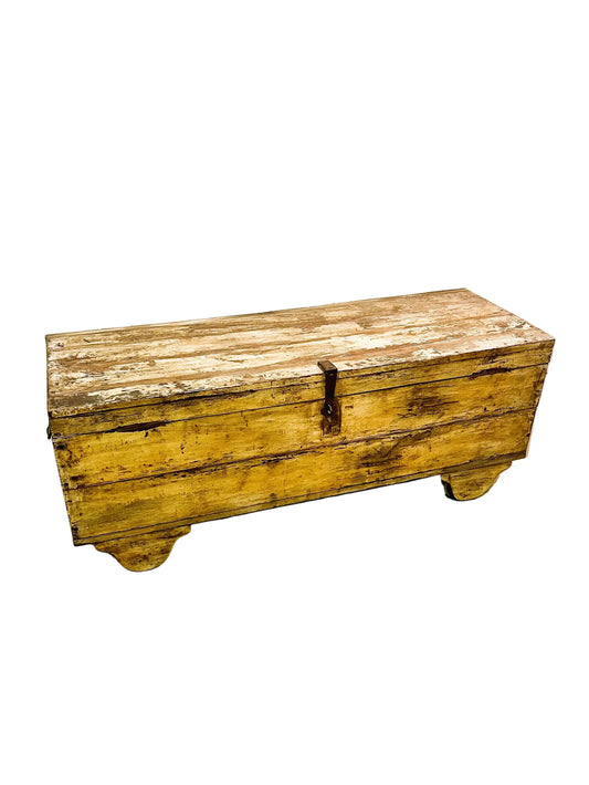 Baule indiano antico originale dipinto con ruote visone completa